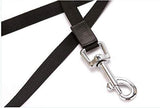 500 cm Dog & Cat Strap Leash (Multicolor) 19378