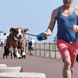 500 cm Dog & Cat Strap Leash (Multicolor) 19378