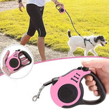 500 cm Dog & Cat Strap Leash (Multicolor) 19378