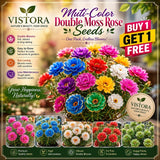 Muti-Color Double Moss Rose Seeds( Buy 1 Get 1 Free ) 35490